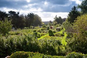 View over Allotments - click for photo gallery